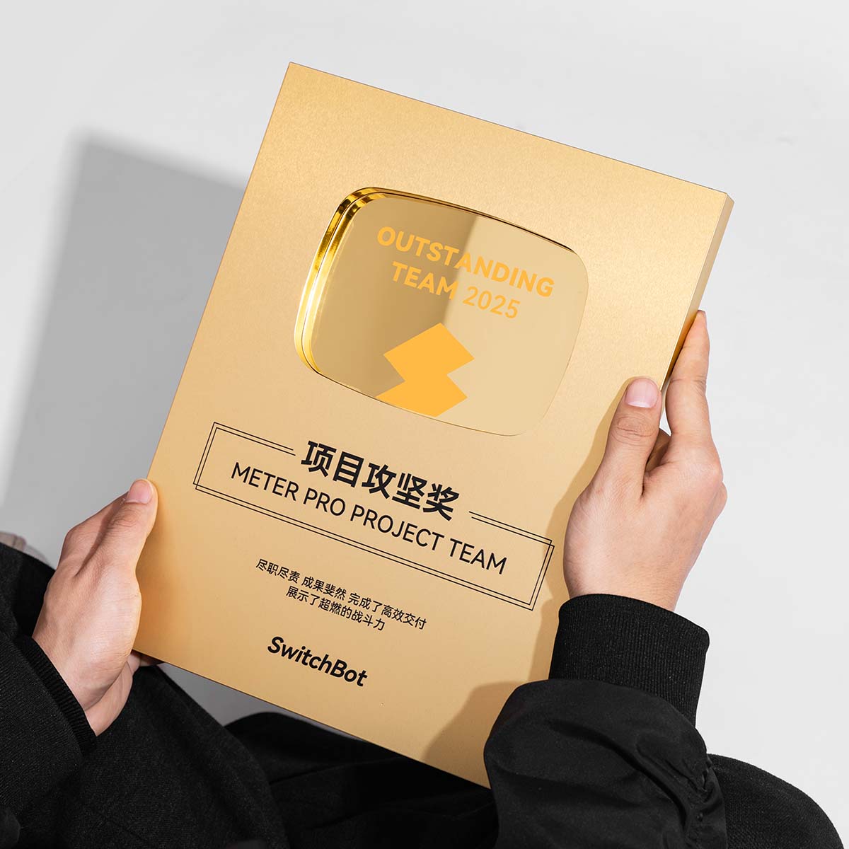 奖牌定制定做哔哩哔哩b站创意荣誉百万粉丝金属铜牌经销授权牌匾