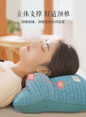 艾洛琳荞麦枕头成人睡觉专用枕芯单人小米壳软枕助睡眠护颈硬高枕