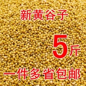 新黄谷子带壳小米虎皮鹦鹉饲料鸟食玄风牡丹中小型谷子粮食文鸟粮