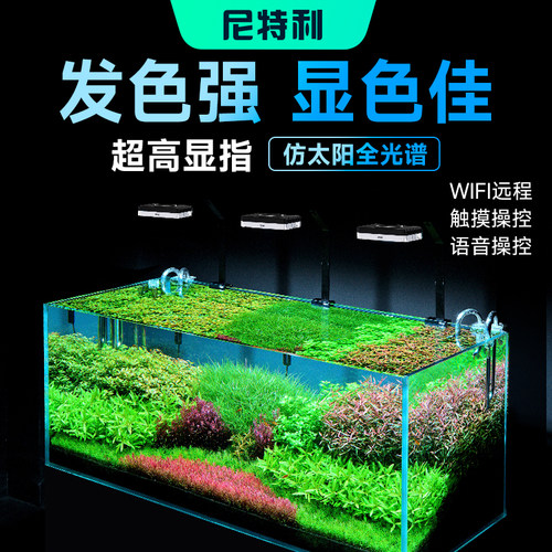 促进水草生长发色水草冒泡专业水陆雨林草灯