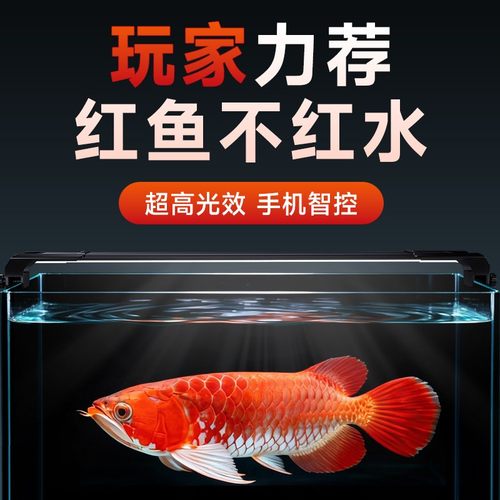 尼特利鱼缸灯防水led智控水草灯