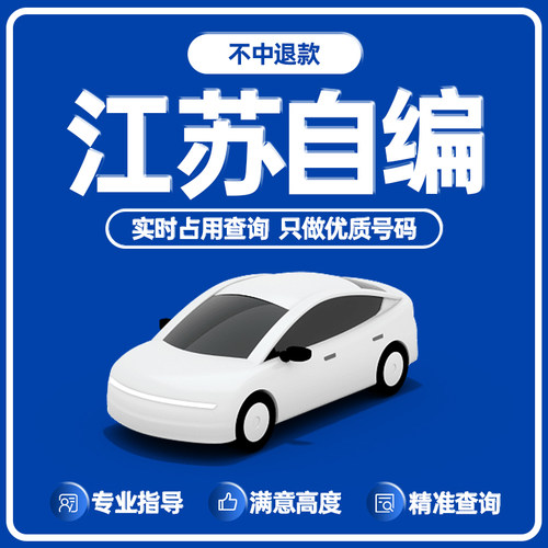 江苏南京苏州无锡宿迁常州新能源汽车12123自编油车自选车牌选号