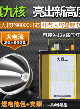 48锂电升级头灯霸王12V白黄强光大九核P90000夜钓鱼灯头戴式探照