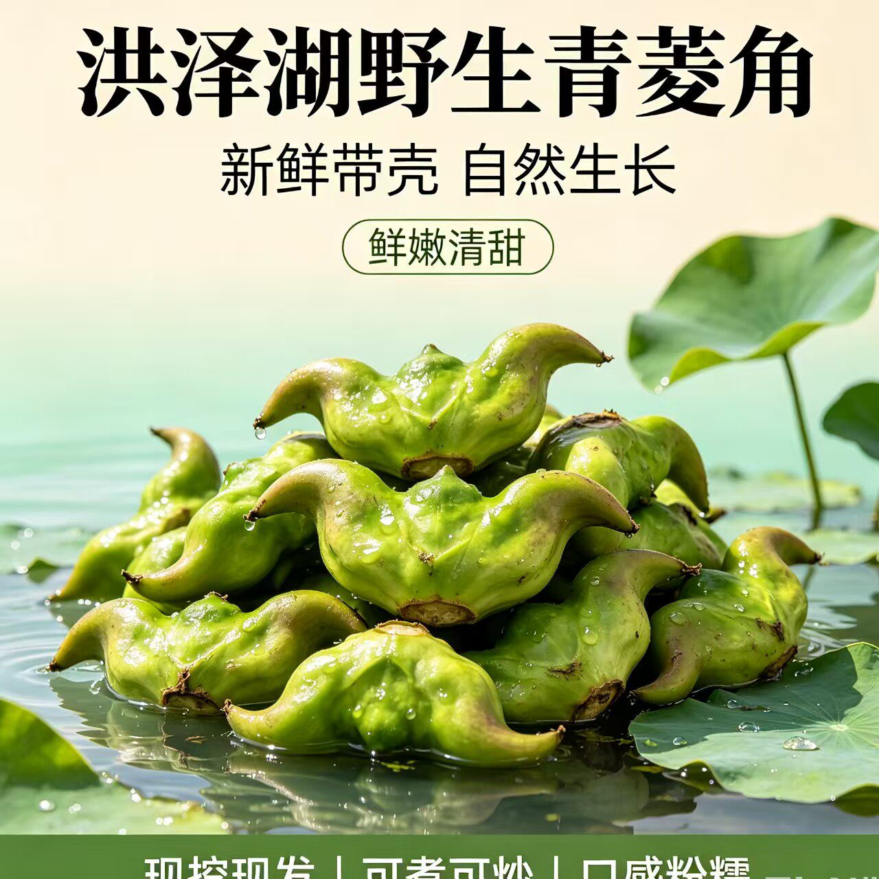 【选伦淮味 顺丰冷链】洪泽湖野菱角