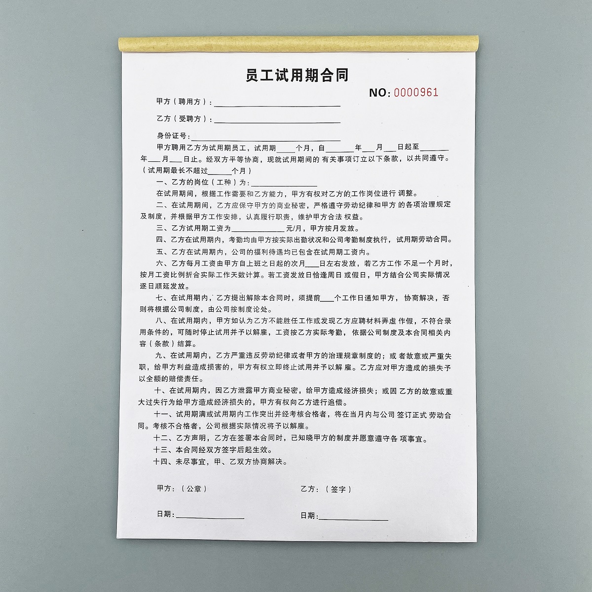 员工试用期合同劳务协议书用工单