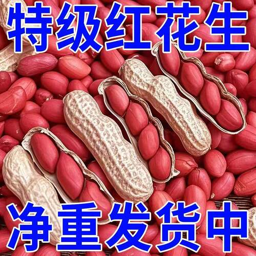 新货河南原味带壳红皮花生