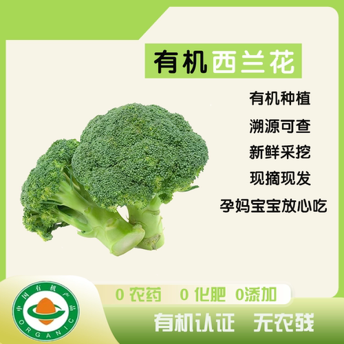 有机认证 有机西兰花 新鲜采摘健康无农残 鲜嫩宝宝辅食 轻食沙拉