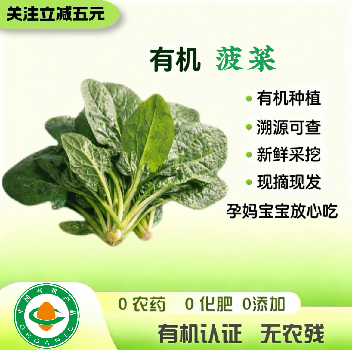 有机菠菜3斤 有机认证 现摘现发潮源可查无农残绿色蔬菜宝宝辅食