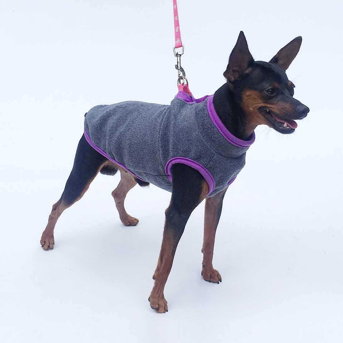 小鹿犬吉娃娃宠物狗狗专用小体型犬带牵引扣两脚衣服过冬天保暖用