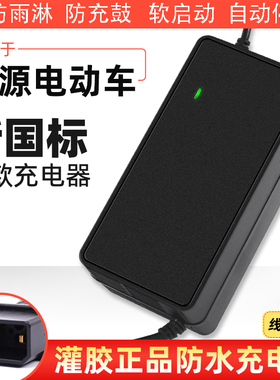 防雨防水电动车电瓶充电器适用于绿源两孔48v12ah60v20ah72V2+2插