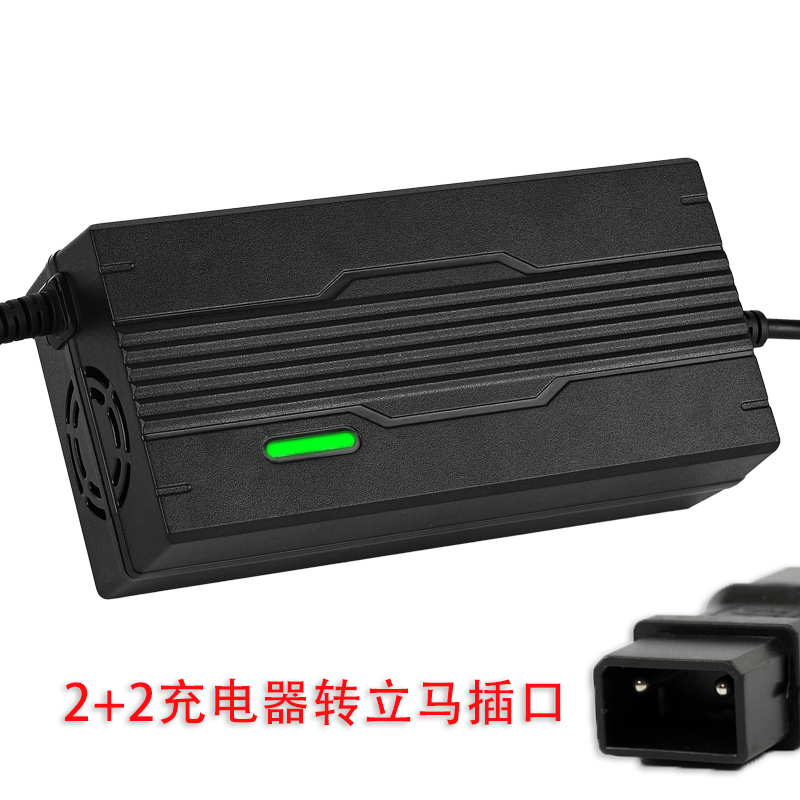 蓉毅立马电瓶车充电器立马接口