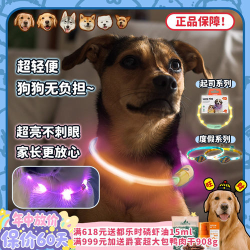 莱诺发光项圈夜间出行防走丢