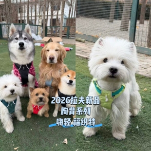 【旺财】2026新品！拉夫威尔胸背 亚洲限定嗨轻 福织特户外出行狗