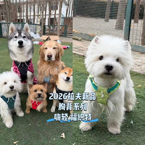 2026新品！拉夫嗨轻福织特胸背