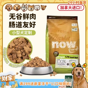 加拿大进口now狗粮无谷低敏营养四叶草小粒小型犬全价粮 旺财