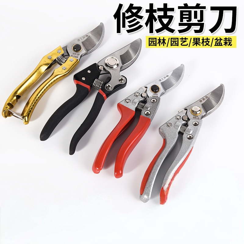 修花园林果枝剪刀sk5家用园艺园林省力修枝剪家用多功能摘果剪子