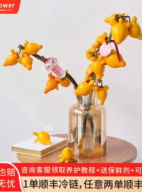 五代同堂黄金果鲜花云南基地直发福禄果鲜切花五指茄插花乳茄果子