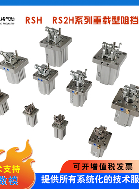 SMC型阻挡气缸RS2H50/63/80-30BM-D-40DL-BL-DM-TL-TM止动限位