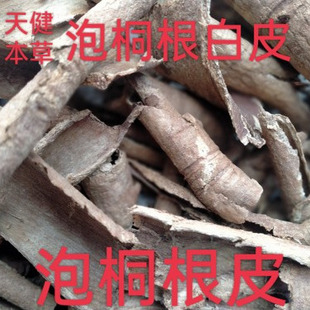 中药材泡桐树根毛泡桐白花泡桐新鲜湿货泡桐根中药材泡桐根皮