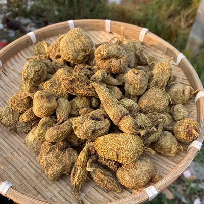 野生黄灵参新货无硫黄灵参煮水煲汤泡酒滋补养生中药材