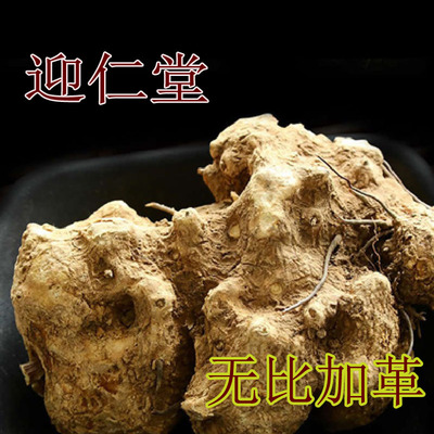 籽子山根无比加革切片大个切片无比加革切片籽山根子无比加革大片