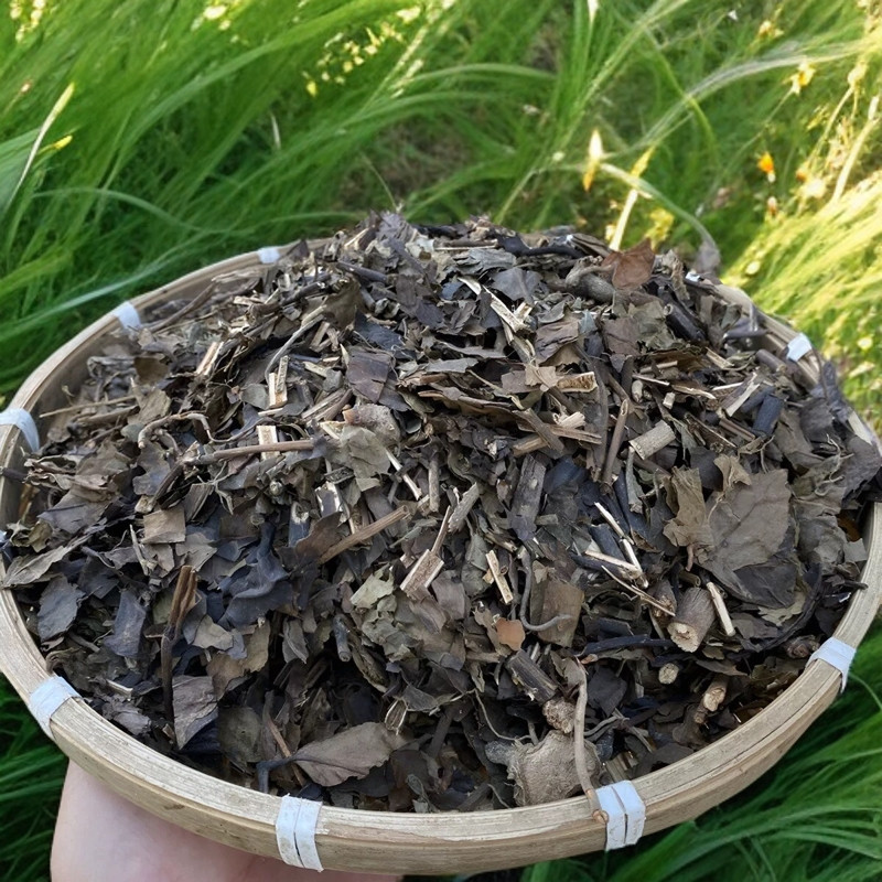 正品缅甸野消炎大王抗菌消炎止痛决明子