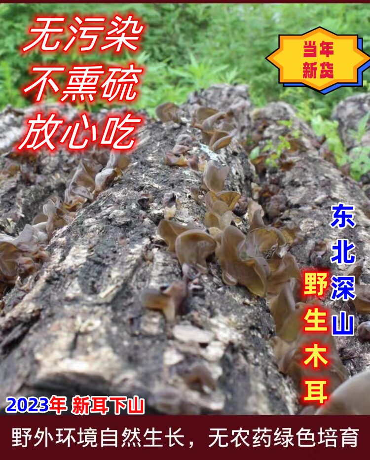 长白山野生木耳小碗黑木耳