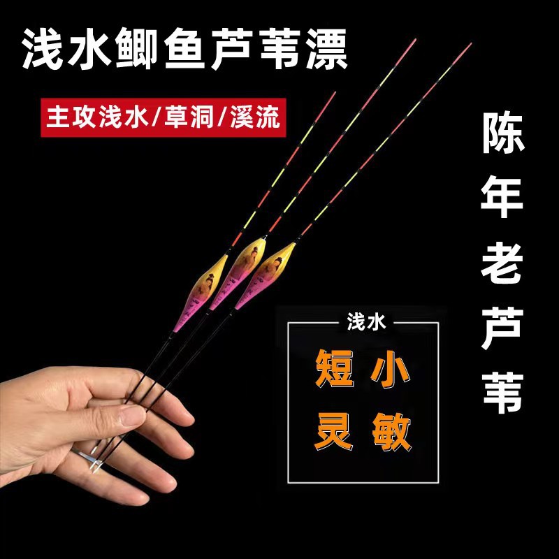 浅水芦苇漂短浮漂高灵敏鲫鱼白条小鱼漂冰钓黑坑草窝鱼漂短脚短尾