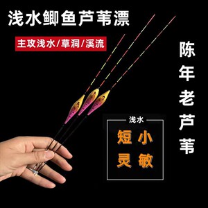 浅水芦苇漂短浮漂高灵敏鲫鱼白条小鱼漂冰钓黑坑草窝鱼漂短脚短尾