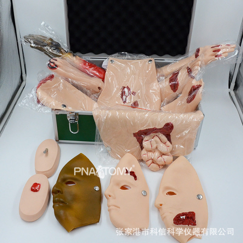 创伤评估模块模拟人人体解剖手足大腿受伤演示模型教学展示用