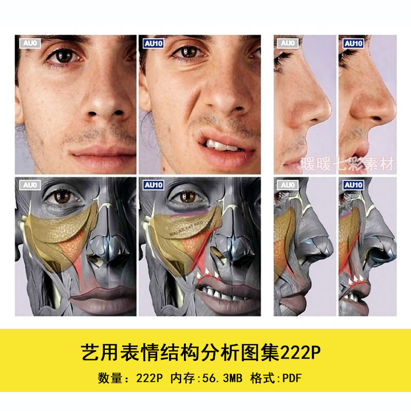 艺用表情结构分析图集222P 美术面部表情解剖 绘画参考素材A0301