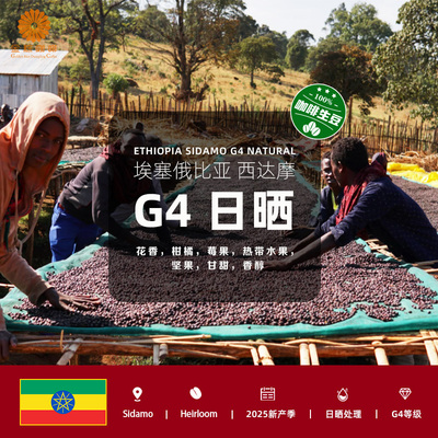 埃塞俄比亚西达摩G4日晒咖啡生豆