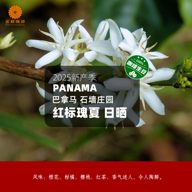 巴拿马进口石墙庄园红标瑰夏日晒咖啡豆