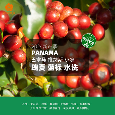 巴拿马进口维纳斯小农瑰夏蓝标水洗精品咖啡生豆2024新产季包邮