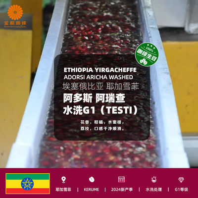 埃塞耶加雪菲阿多斯阿瑞查水洗G1（TEST）精品咖啡生豆2024新产季