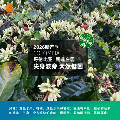 哥伦比亚进口甄选庄园尖身波旁天然低因精品咖啡生豆2026新产季