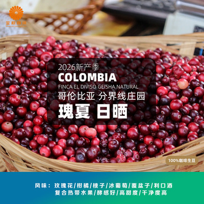 金粽咖啡哥伦比亚进口分界线庄园瑰夏日晒精品咖啡生豆2026新产季
