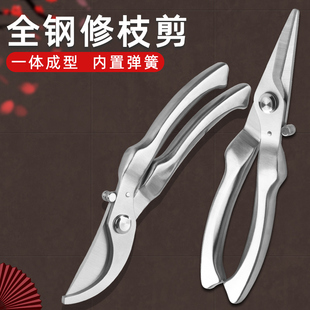 园艺剪枝剪刀修枝剪不锈钢果树园林树枝盆景修剪造型专用剪子工具
