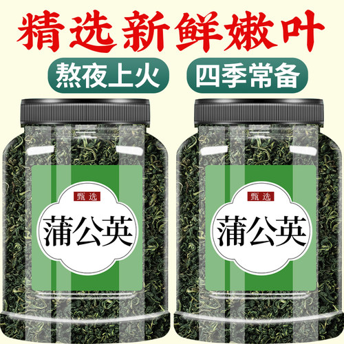 蒲公英散结茶正品特级野生泡水喝