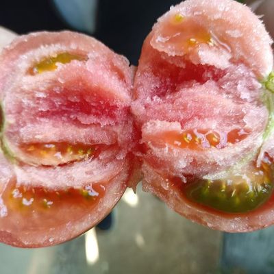 自然熟新鲜西红柿薄皮柿子