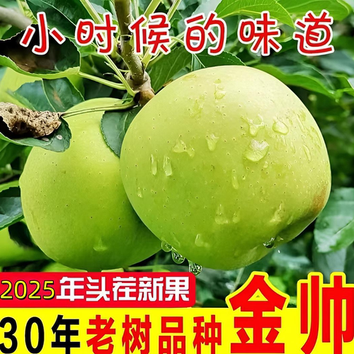 山东金帅儿时记忆苹果老品种酸甜