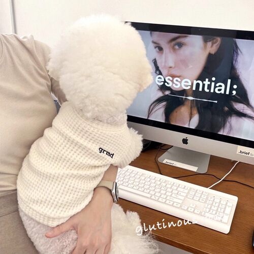 狗狗衣服ins打底衫秋季华夫格两脚衣宠物泰迪比熊猫咪小型犬衣服