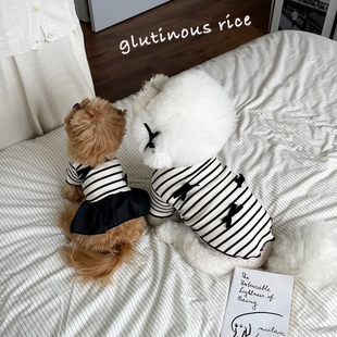 狗狗衣服轻薄情侣款黑条纹T恤裙子宠物猫咪小型犬比熊泰迪约克夏