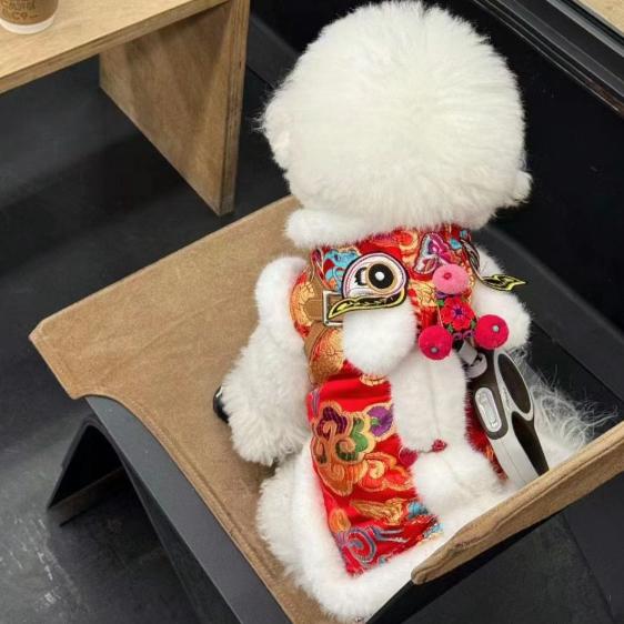 宠物过年衣服春节新年龙年猫咪狗狗唐装虎头醒狮服冬款拜年服