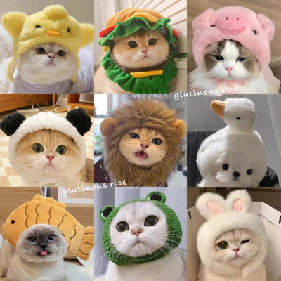 猫咪可爱搞怪变装帽宠物帽子金渐层英短德文狗狗汉堡头套卡通头饰