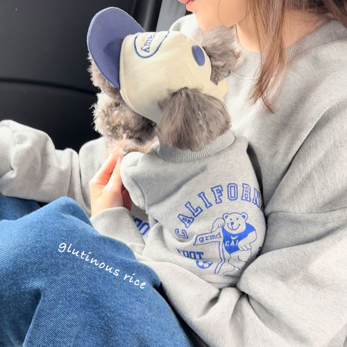 宠物狗狗猫咪春秋款防掉毛衣服泰迪比熊博美小型犬雪纳瑞约克夏