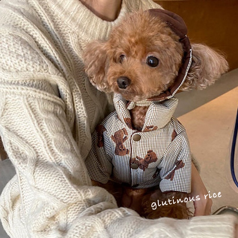 可牵引外出泰迪熊秋冬款棉衣泰迪比熊博美小型犬猫咪狗狗保暖衣服