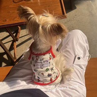 可爱透气背心泰迪博美小型犬防掉毛小吊带 KT猫小狗狗宠物衣服夏季