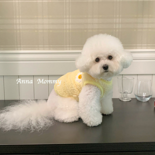 秋冬装宠物狗狗马甲猫咪比熊泰迪博美小型幼犬贵宾雪纳瑞衣服