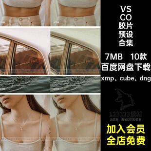 VSCO胶片预设合集写真xmp cube dng日系Lr滤镜人像10款lut拍